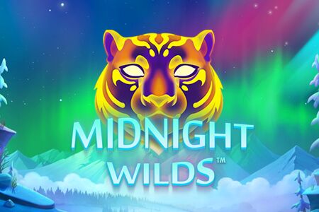 Midnight Wilds