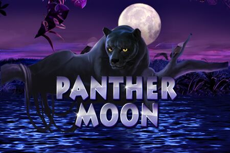 Panther Moon